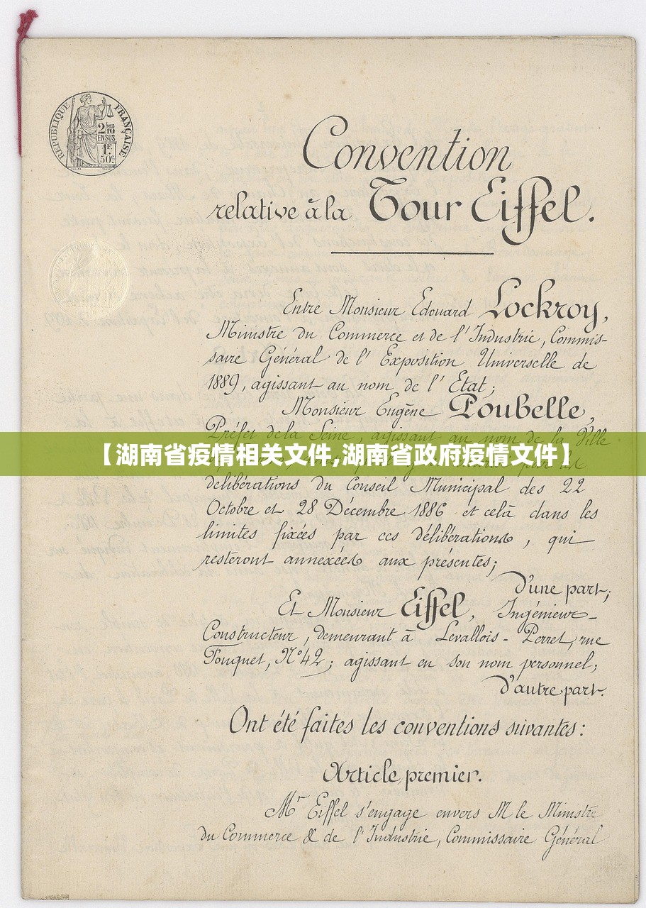 【湖南省疫情相关文件,湖南省政府疫情文件】